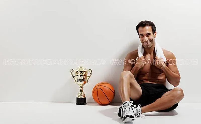 新宝登录app入口手机版雷柏科技探索陆港足球运动主题公园滑板乐趣：精彩体验、技巧分享和活动指南