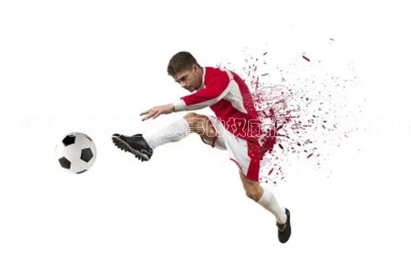 ：评估中国各运动赛事的权威性和影响力指标