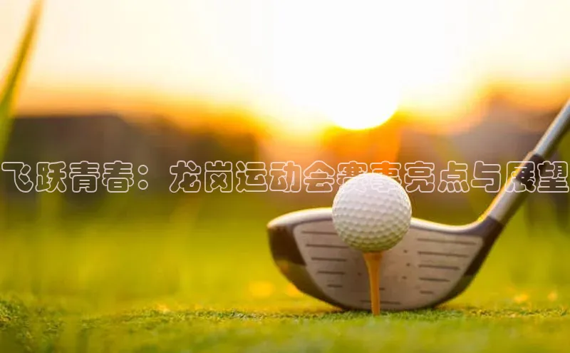 飞跃青春：龙岗运动会赛事亮点与展望