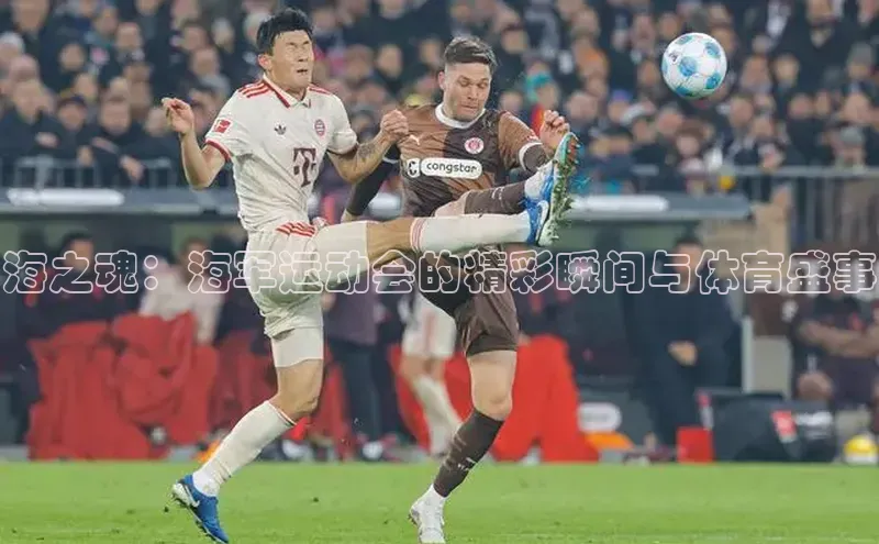 海之魂：海军运动会的精彩瞬间与体育盛事