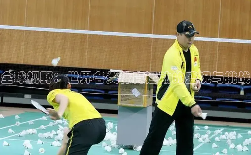 全球视野：世界各类体育运动的盛况与挑战