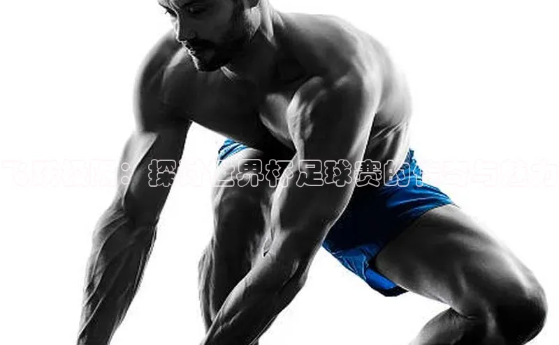 飞跃极限：探讨世界杯足球赛的传奇与魅力