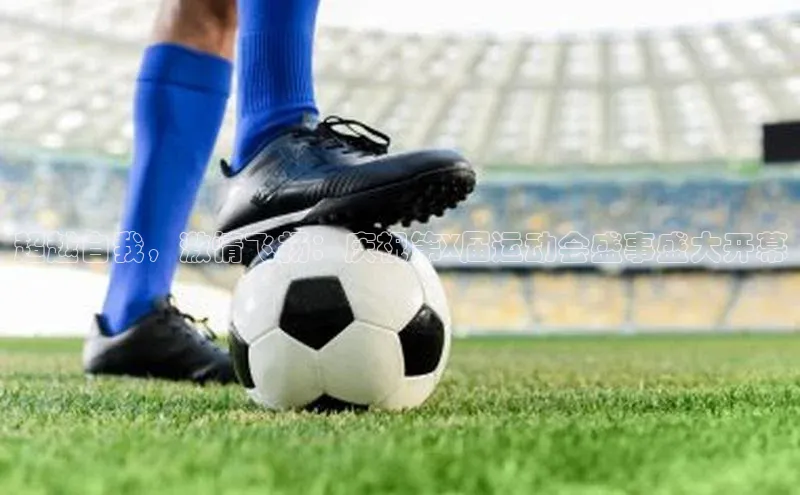 超越自我，激情飞扬：庆祝第X届运动会盛事盛大开幕