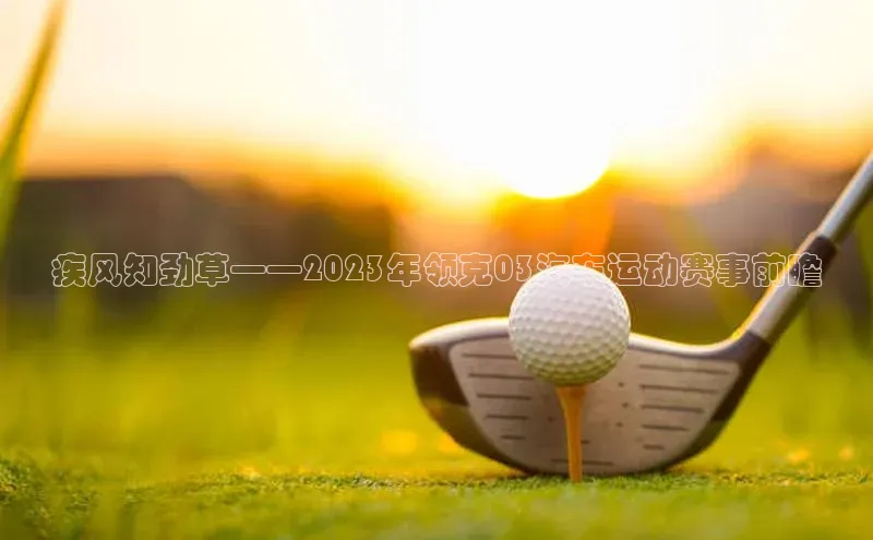 疾风知劲草——2023年领克03汽车运动赛事前瞻