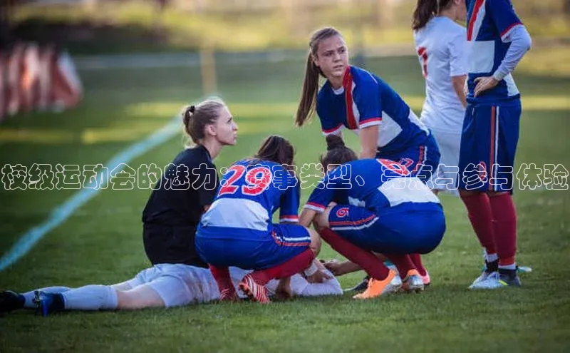 校级运动会的魅力：赛事类型、亮点与参与体验