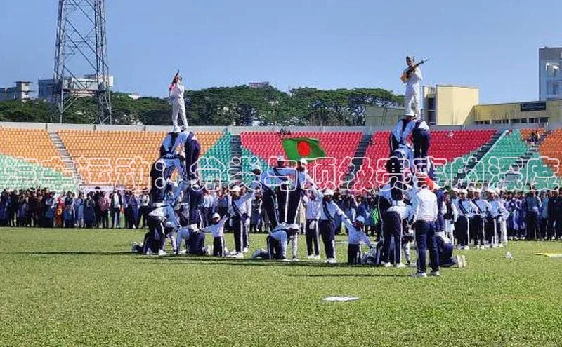 汽车运动：分类与顶级赛事的深度