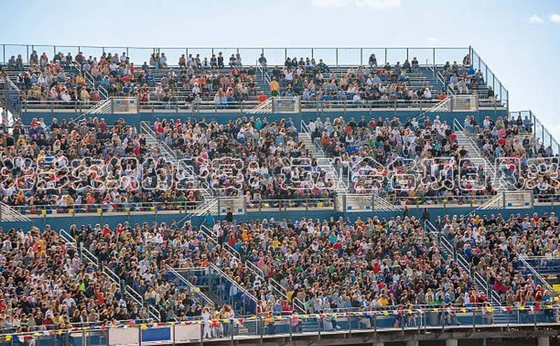 光影交织的盛宴：运动会各项目风采