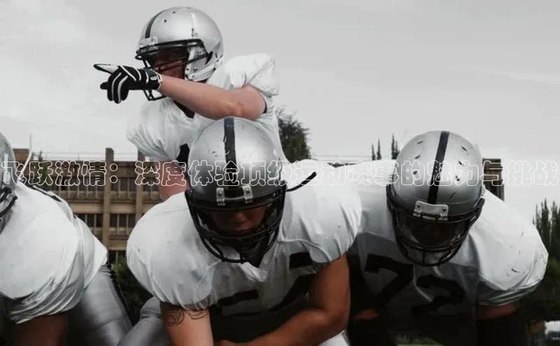 飞跃激情：深度体验顶级运动赛事的魅力与挑战