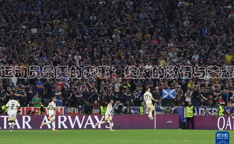 运动员最美的赛事：绽放的激情与荣耀