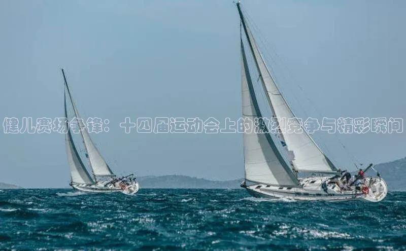 健儿赛场争锋：十四届运动会上的激烈竞争与精彩瞬间