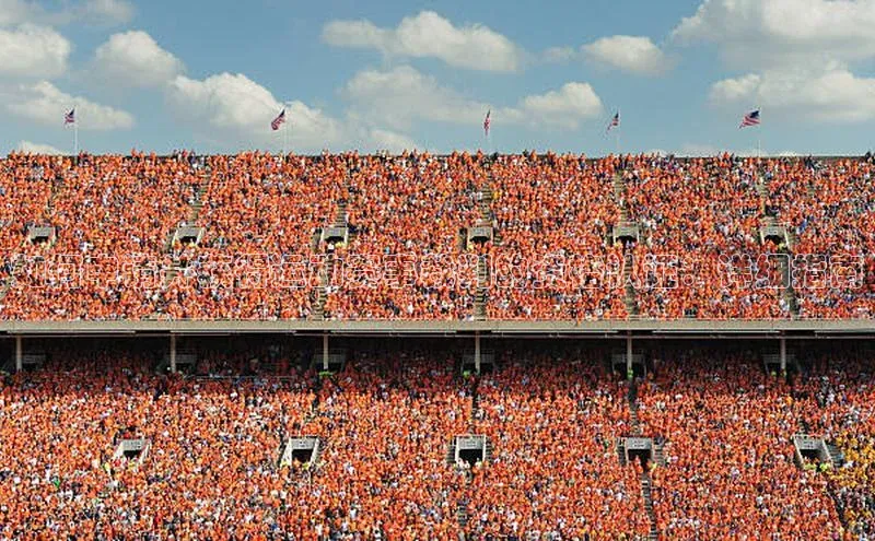 新宝登录app入口手机版