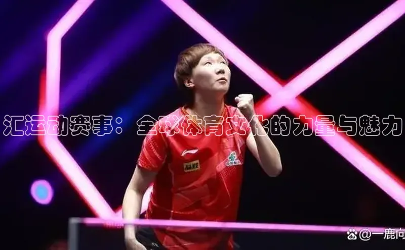 新宝登录app入口手机版