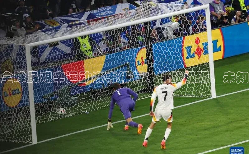 新宝登录app入口手机版