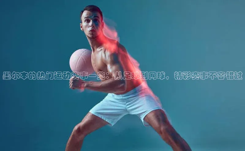 新宝登录app入口手机版