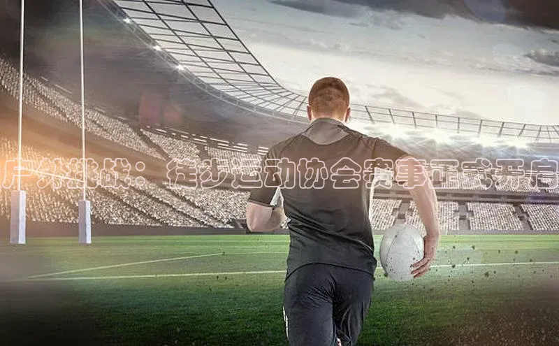 新宝登录app入口手机版