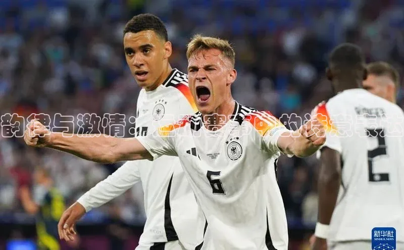 新宝网站登录入口