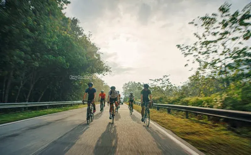 新宝gg平台注册官网