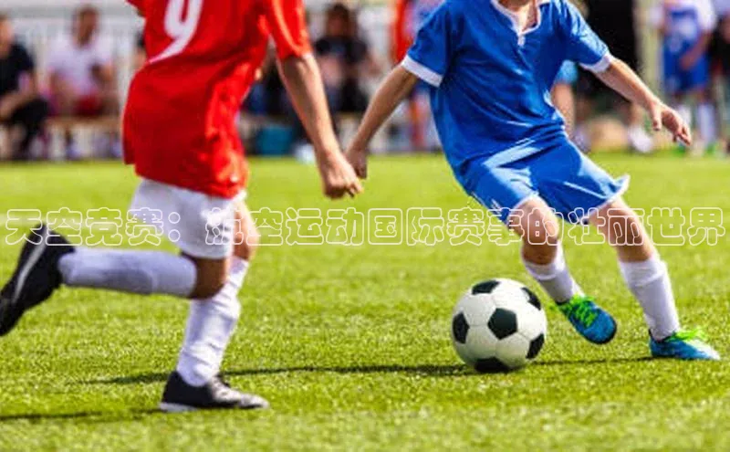 天空竞赛：航空运动国际赛事的壮丽世界