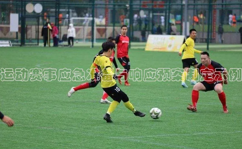 运动赛事应急准备与响应预案制定示例